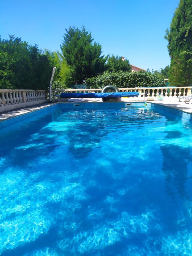 Villa les Palmiers - Aux Portes d'Alès Saint Julien Les Rosiers Esterno foto